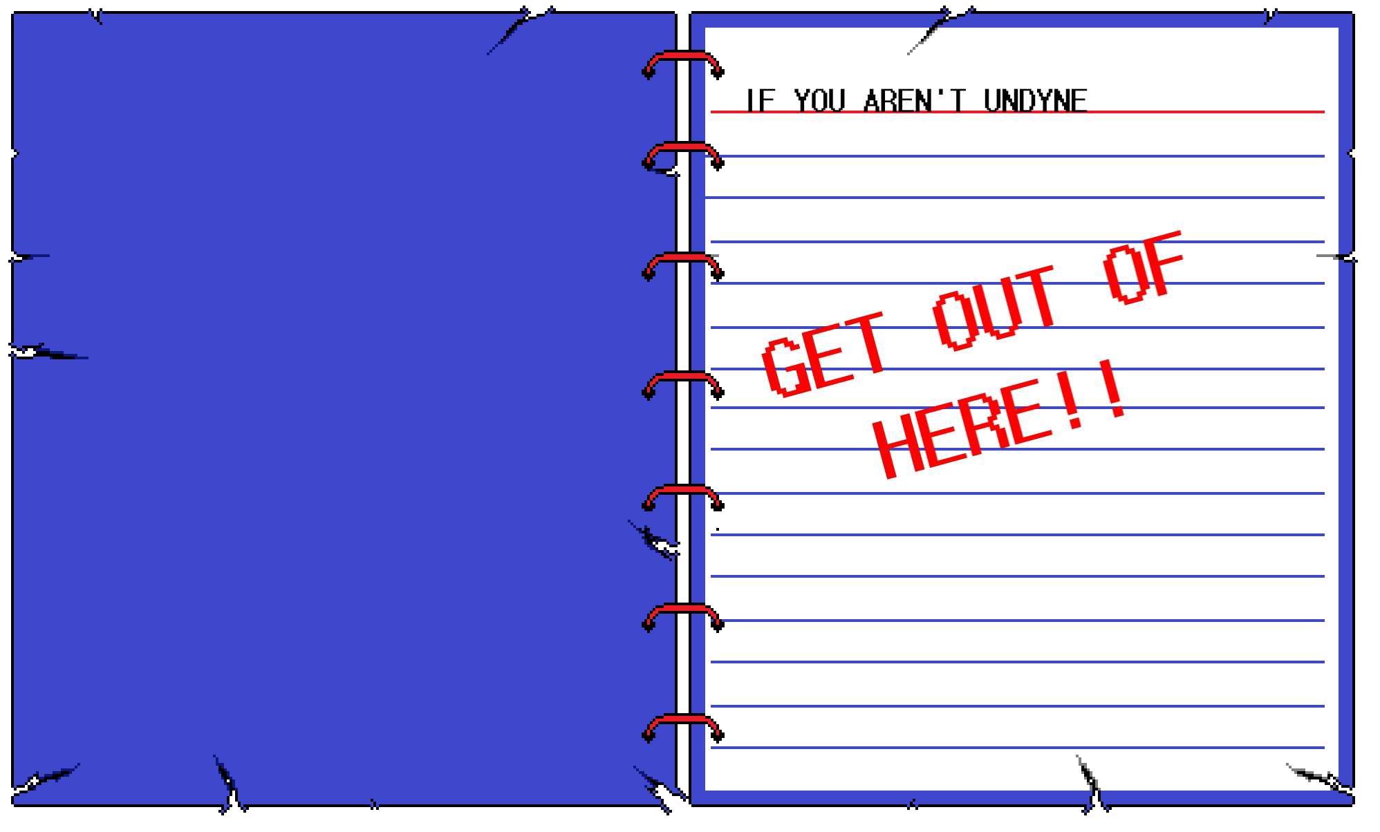 Her diary 